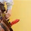 Handyman repair service in Bakersfield, CA for home fixes and improvements