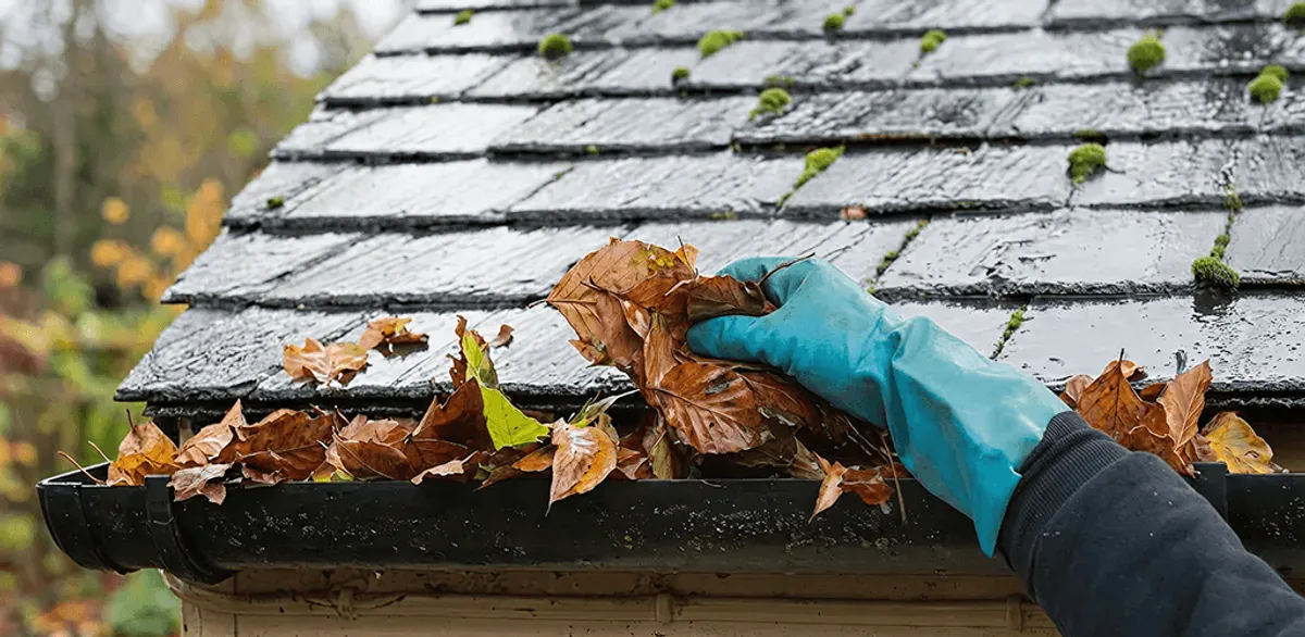 Gutter cleaning technician clearing wet leaves from roof gutters in Bakersfield, CA