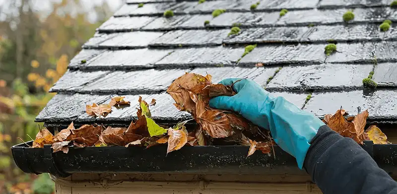 Gutter cleaning technician clearing wet leaves from roof gutters in Bakersfield, CA